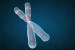 10 Facts about Chromosomes