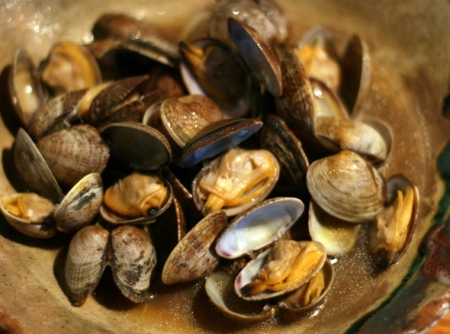 Clams Pic