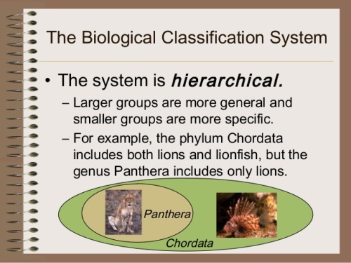 Classification Facts