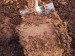 10 Facts about Clay Soil