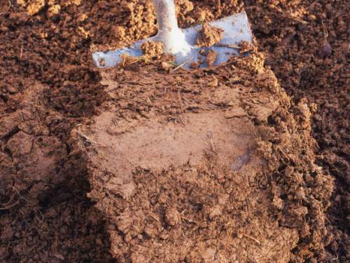 Clay Soil Facts