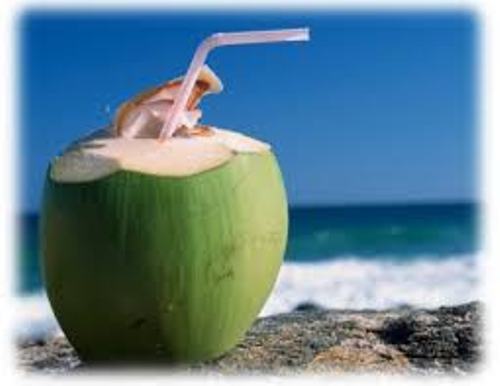 Coconut Water Facts