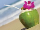 10 Facts about Coconut Water