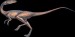 10 Facts about Coelophysis