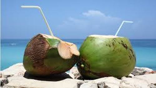 Facts about Coconut Water