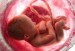 10 Facts about Conception