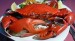 10 Facts about Crabs