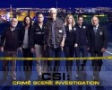 10 Facts about Crime Scene Investigation