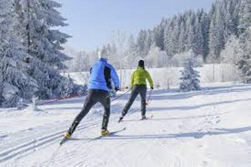 Cross Country Skiing Pictures