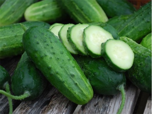 Cucumbers Pic