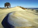 10 Facts about Cumberland Island