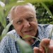 10 Facts about David Attenborough