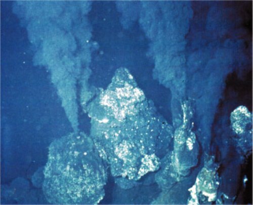 Deep Sea Vents facts