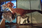 10 Facts about Deinonychus