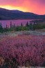 10 Facts about Denali National Park