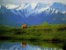 10 Facts about Denali National Park