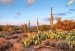 10 Facts about Desert Environments