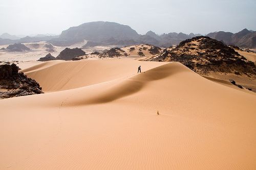 Facts about Desert Environments