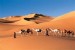 10 Facts about Desert Biome
