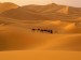 10 Facts about Desert Climate