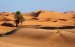 10 Facts about Deserts