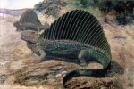 10 Facts about Dimetrodon