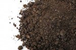 10 Facts about Dirt