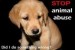 10 Facts about Dog Abuse