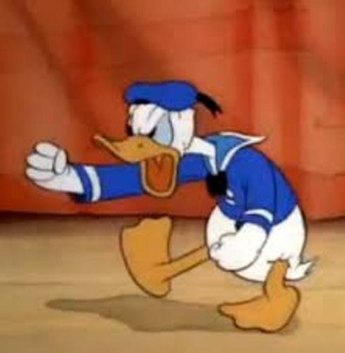 facts about donald duck