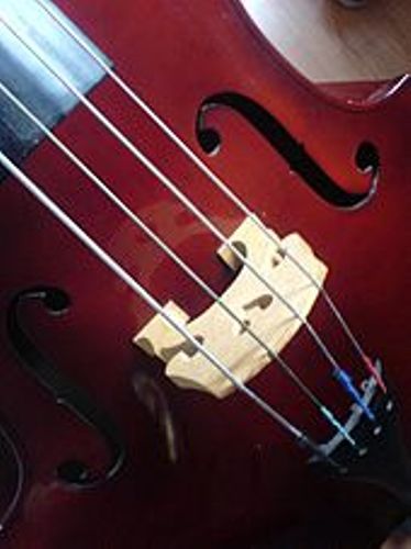 double bass pictures