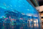 10 Facts about Dubai Mall