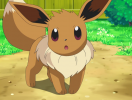 10 Facts about Eevee