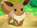 10 Facts about Eevee